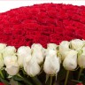 Корзина красных и белых роз Сила любви