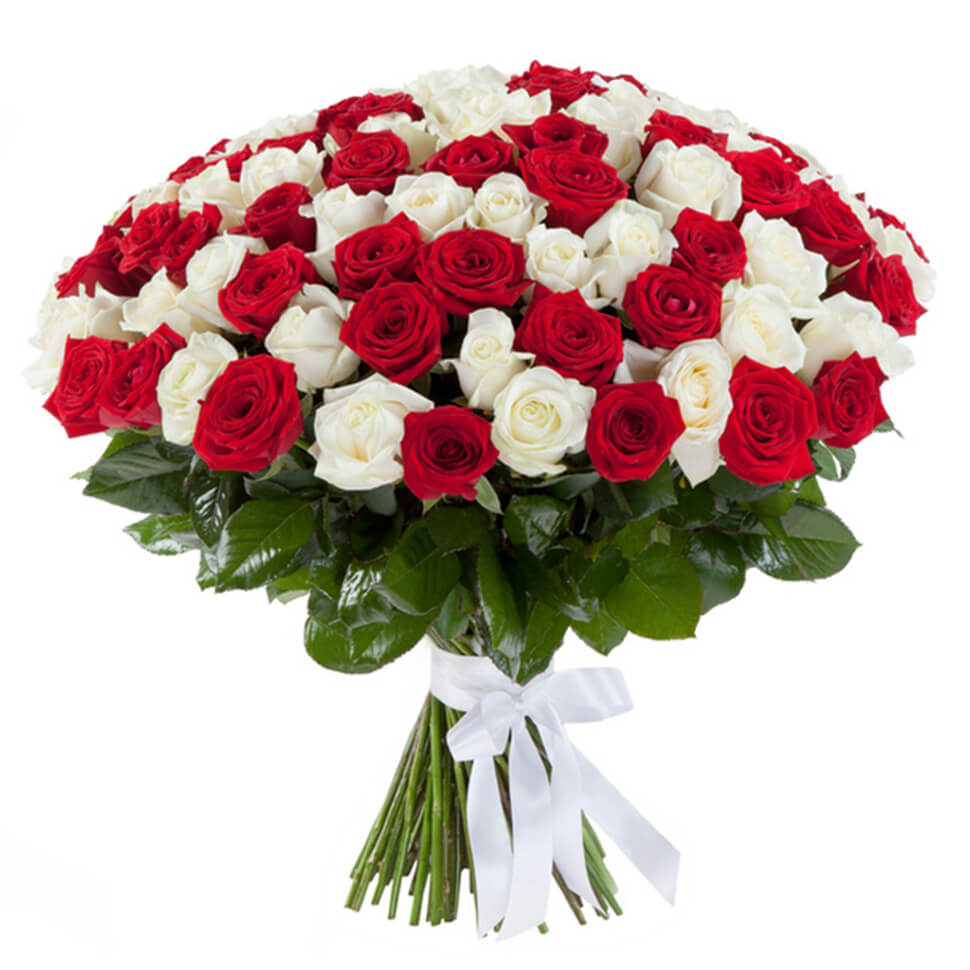 Букет из 101 белой и красной розы